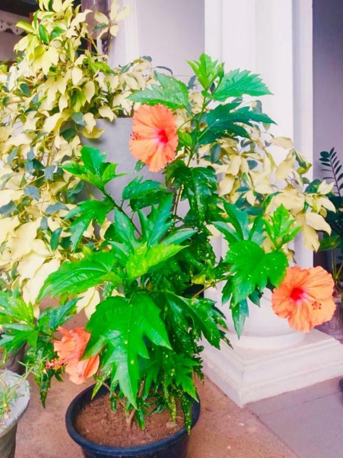 Ruslanka Homestay Ettukala Dış mekan fotoğraf